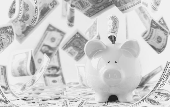 piggy bank with money
