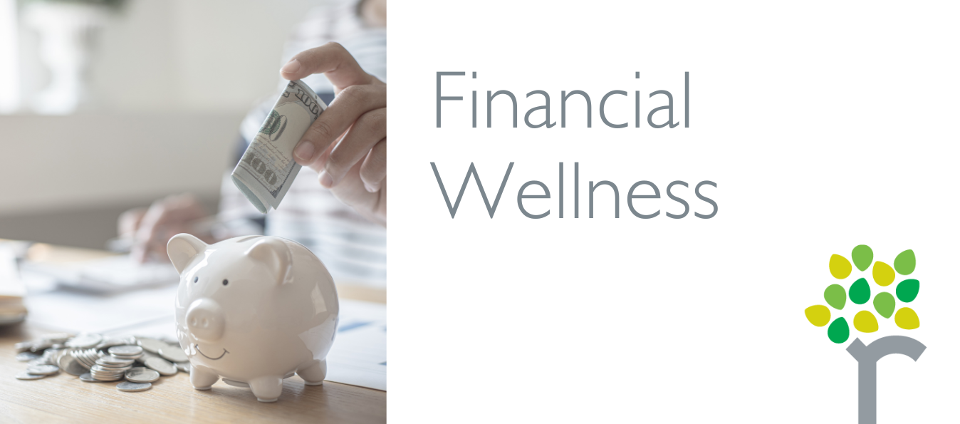 Financial wellness article